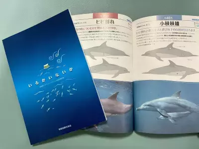 しながわ水族館「イルカがいるから御蔵島にいこう展」 2025年1月22日(水)～2月3日(月)開催！