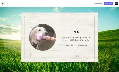 ペットと“ありがとう”を交わせるオンラインペット霊園『虹メモリアル』正式リリース