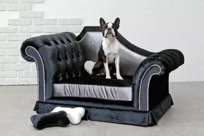 日本初上陸！ハリウッド発カスタムメイドの わんちゃん用ハイグレードペットソファが受注開始