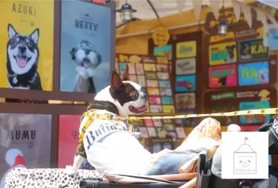 神戸メリケンパークにて「メリケンわんだーパーク2025秋」を開催