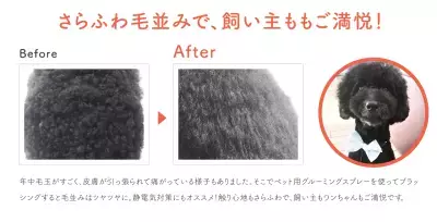 ビリープ、獣医師×化粧品会社共同開発のペットケア商品「PetcareDr.PRO グルーミングスプレー」をリニューアル！