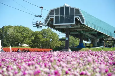【標高1,000m】笑顔と大自然があふれる フラワー＆アクティビティフィールド 岐阜県郡上市「ひるがのピクニックガーデン」2025年7月12日OPEN！