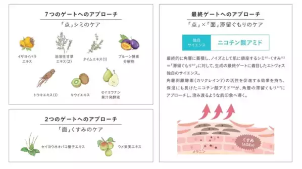 敏感肌の日照時リスクも軽減！ETVOSが美白ケアもできる美容液UV下地新発売