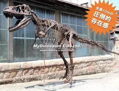 さいたまスーパーアリーナ 開業25周年記念特別企画「さいたま恐竜展 '25」けやきひろばで2025/7/25～8/17開催。迫力満点！10mの恐竜レプリカが出現