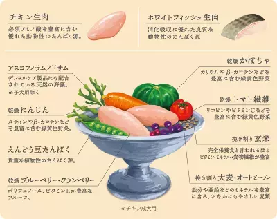 ドッグフードを食べない愛犬にお悩みの方へ。プレミアムナチュラルドッグフード・パウレ(Pawle) 2025年3月24日(月)より販売を開始