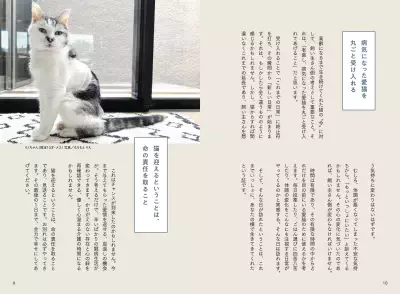 『猫の介護ハンドブック』第4刷が決定！― 猫の在宅介護・緩和ケアを支えるロングセラー ―
