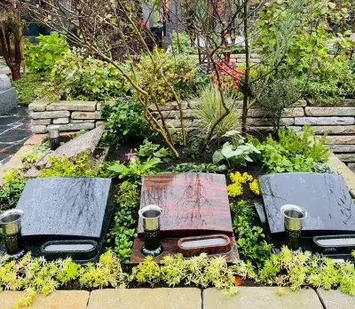 【新区画オープン】ガーデンデザイナーが手がける新宿の樹木葬「牛込庭苑」2025年11月1日(土)より販売開始