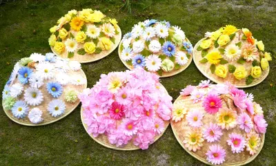 国内初！東京の離島・式根島が“女性一人旅の聖地”に変貌「ハッピーリボーンプロジェクト in 式根島」2025年10月1日スタート