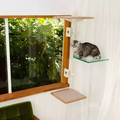 業界初！窓枠につけるキャットタワー「ねこゴロン」最大10％OFFの期間限定秋セールを開催！2025年9月12日(金)～9月23日(火・祝)まで