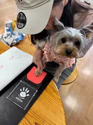 世界文化遺産・国宝の富岡製糸場で2025年7月19日より「屋内施設へのペット同伴見学範囲が拡大」