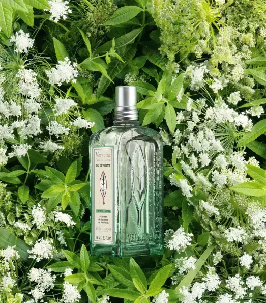 夏の暮らしを心地よく！ロクシタンが清々しい限定アロマ「クリーンヴァーベナ」発売