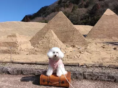 東武ワールドスクウェア、わんちゃんと入園できる「WORLDog!ふれんどりー」1周年記念