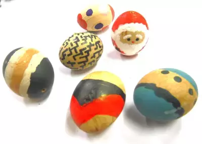 神戸の山の恵みを体感しよう！森と人がつながるサステナブル体験イベント開催！