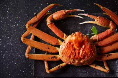 兵庫県香美町「さだ助別邸ICHIJO」冬季宿泊予約受付を開始！香住の冬、松葉ガニと静寂の美を味わう贅沢なひととき