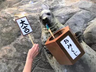 しながわ水族館「しな水のお正月2025」12月28日より開催 お正月をテーマに様々なイベントで新春をお祝い！