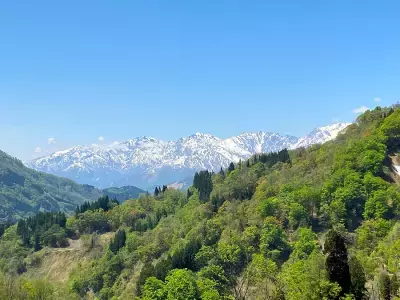 長野県小谷村・自然体験を通して子どもたちの成長を応援する3泊4日のキッズサマーキャンプを2025年7月と8月に開催！
