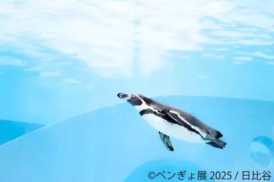“夏の癒し空間”が今年もやってきた♪ペンギン×金魚コラボ作品展「ペンぎょ展 2025」7月4日～開催！限定特典＆グッズも登場