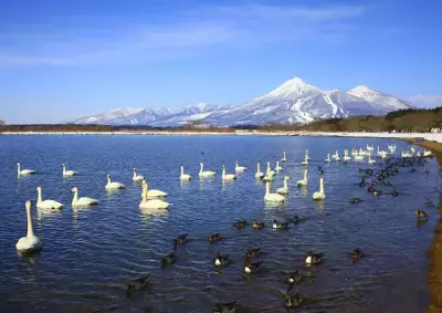 【最大5,000円割引】雪化粧の磐梯山と温泉、ウィンタースポーツ旅を応援！「いなわしろ宿泊割！」(秋・冬)を楽天トラベル限定で実施決定！2025年10月20日(月)より予約受付開始