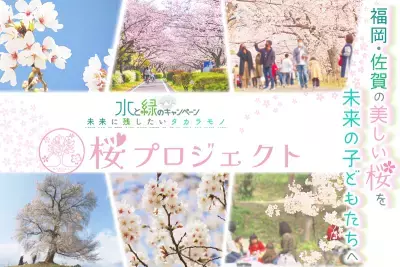 福岡・佐賀の桜の保全活動「桜プロジェクト」を開始「KBC水と緑の基金」として2025年9月25日までCAMPFIREでクラファン募集