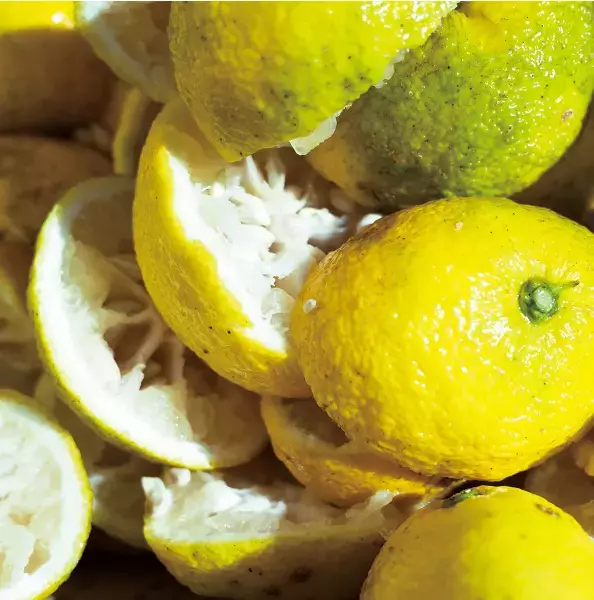 SHIROの旬シリーズから、フレッシュな香りのゆずが3度目の登場！