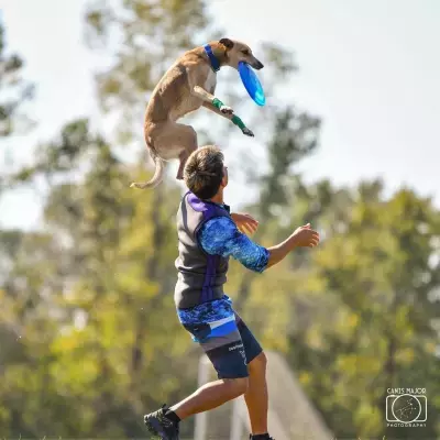 《入場無料》愛犬と1日中楽しもう！「第2回 Happy！ ワンDays フェスタ」秋の那須ガーデンアウトレットで開催！現役世界チャンピオンによる「ディスクドッグパフォーマンス」も