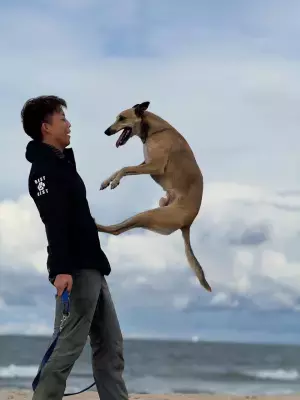 《入場無料》愛犬と1日中楽しもう！「第2回 Happy！ ワンDays フェスタ」秋の那須ガーデンアウトレットで開催！現役世界チャンピオンによる「ディスクドッグパフォーマンス」も