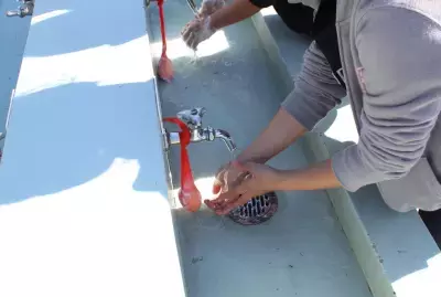 レモン石鹸でおなじみ「株式会社マックス」創業120周年！大阪・関西万博への出展、コーポレートメッセージの刷新、記念イベント＆謝恩セール等も実施予定