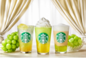 スターバックスが爽やかなマスカットが主役の新作ビバレッジを発売