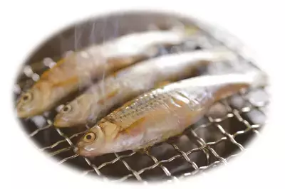 毎回満席！奥びわ湖の旬魚 ホンモロコ・ビワマスなどがお得に味わえるイベント「グルメの集い」を3/15(日)に開催