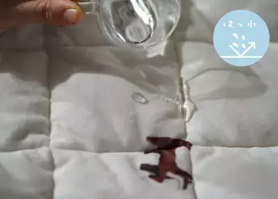 「Maison terrier」とコラボ！“毎日使える”おやつ犬キルトラグが2月25日発売