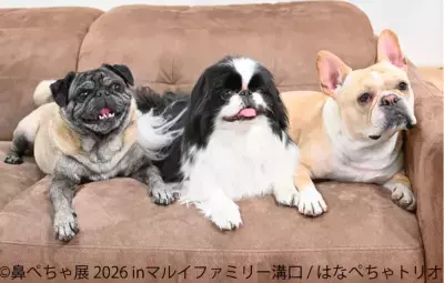 フレブルやパグなど“鼻ぺちゃ犬”の作品・グッズが大集合！ 「鼻ぺちゃ展2026」マルイファミリー溝口で9月2日から初開催　 限定グッズや『あうんのてんぽ』作者の来場イベントも