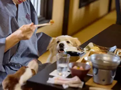 【愛犬と泊まれる古民家リトリート　赤城山 - 懐 - 】愛犬ファミリーの皆さまへ感謝の気持ちを込めて 愛犬2頭まで宿泊料無料の「開業1周年プラン」を販売開始！