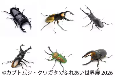 世界のレア昆虫が集結！夏休み限定イベント「カブトムシ・クワガタのふれあい世界展」8/1(土)～東京で開催　AR昆虫採集ゲーム「バグハン！」コラボブースも登場