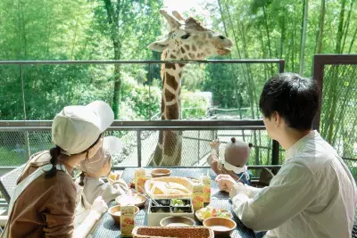 「キリンと朝食」が再開！動物園×グランピング施設『THE BAMBOO FOREST』夏限定・流しそうめん付き宿泊プランも開始