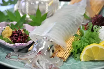 1人でイカ2杯を食べ比べ！旬のアオリイカ＆京丹後イカ漁火　京丹後・海舟が秋限定の贅沢宿泊プランを販売開始