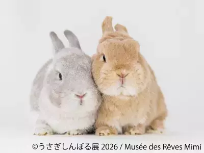 10周年“うさぎの祭典”が開幕！200点超の作品＆限定グッズが集結「うさぎしんぼる展 2026」9/18(金)から東京で開催