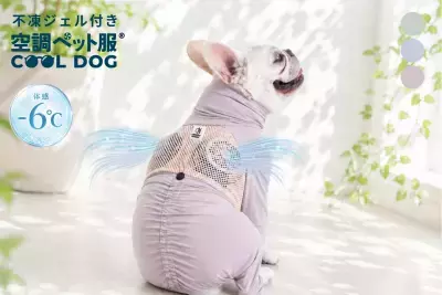 026年の猛暑対策に　 シリーズ累計8,000着突破の「空調ペット服」から 2026年モデルが6月26日に公式EC店舗で販売開始