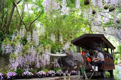 らんの花祭りうりずん2026～らんの舞～開催
