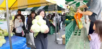 こんにゃくパーク『夏フェス2026』8/11より開催！早食い大会や詰め放題、中山秀征さんのトークショーも