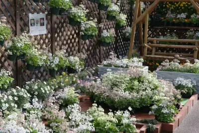 早春の草花展を中心とした、植物園の一足早い春を楽しむ『The First Bloom ―春を先どる1万の花―』を開催 2月6日(金)～3月8日(日)