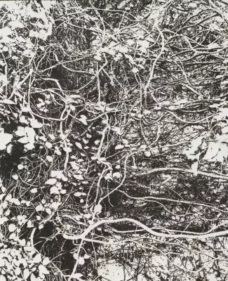 線香で画を描くアーティスト市川孝典、個展「FLEETING DAYS」 の開催が決定