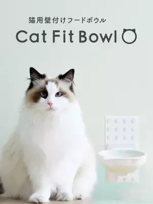 愛猫の「食べる」をもっと自然に、心地よく。 プラセス × ナラネコ 共同開発の壁付け猫用フードボウル 『Cat Fit Bowl』誕生！