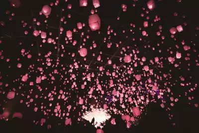 スカイランタンと花見を楽しむ『花見灯夜2026』が4/1(水)～7(火)に東京・新宿で開催！1日最大1,500個の桜灯が満開に