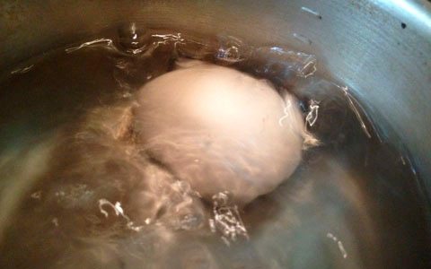 ちょっとしたホームパーティでも大活躍！ アボカドと卵のおしゃれディップ