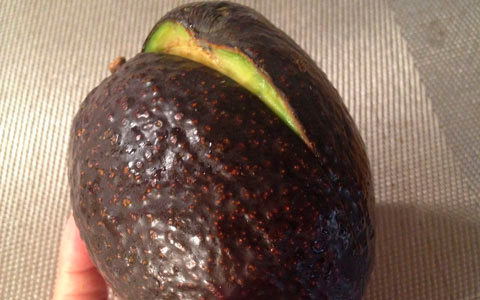 ちょっとしたホームパーティでも大活躍！ アボカドと卵のおしゃれディップ