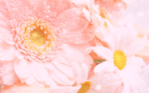 ファッションのポイントで見る！ 妊娠・出産・産後の変化