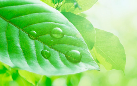 マタニティハラスメントの事例。実態と対処法を紹介