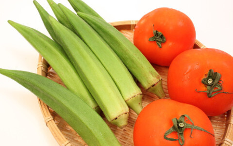 ネバネバの力で夏バテ解消！ 万能タレで食べる冷製パスタ