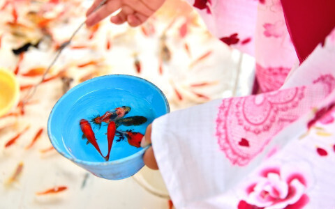 親子でおでかけ：日本の夏を体感！ 親子でお祭りへ行こう♪