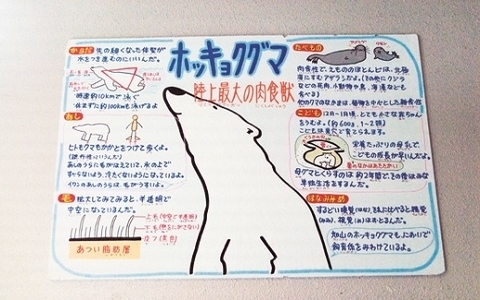 国内・北海道旅行におすすめ！「旭山動物園」の見どころは？